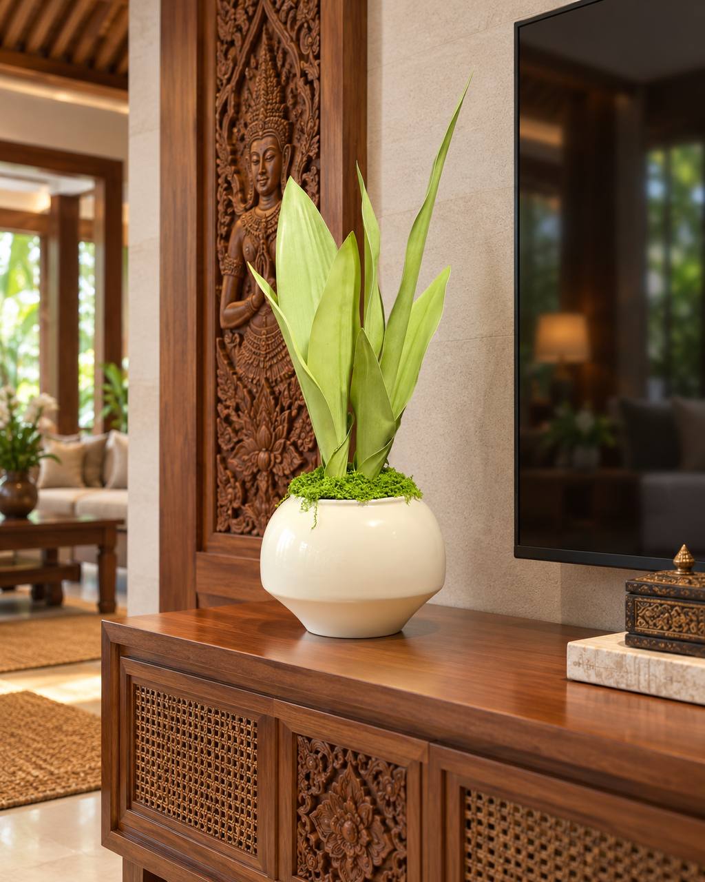 ដើម ព្រះខ័ណ្ឌរាជ សិប្បនិម្មិតក្នុងផើង ៥០សង់ទីម៉ែត្រ · 1